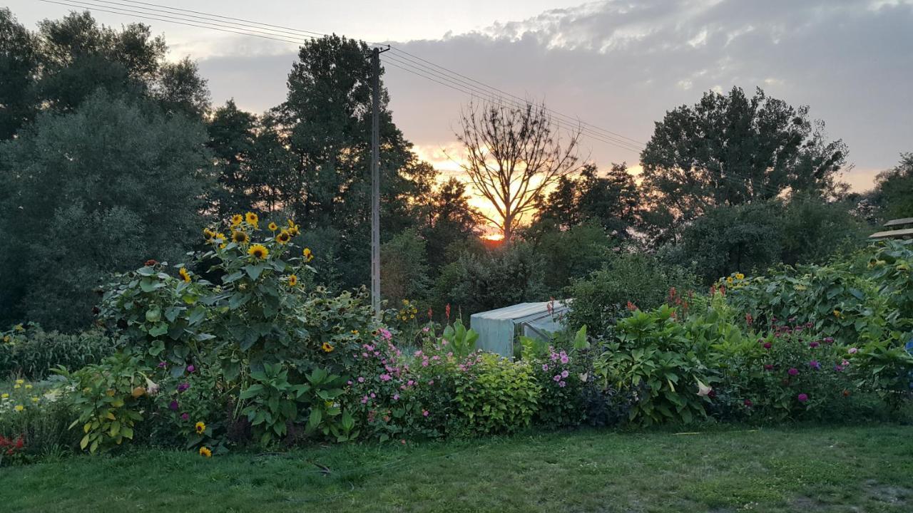 Zielone Zacisze Zwola Ferienhaus *