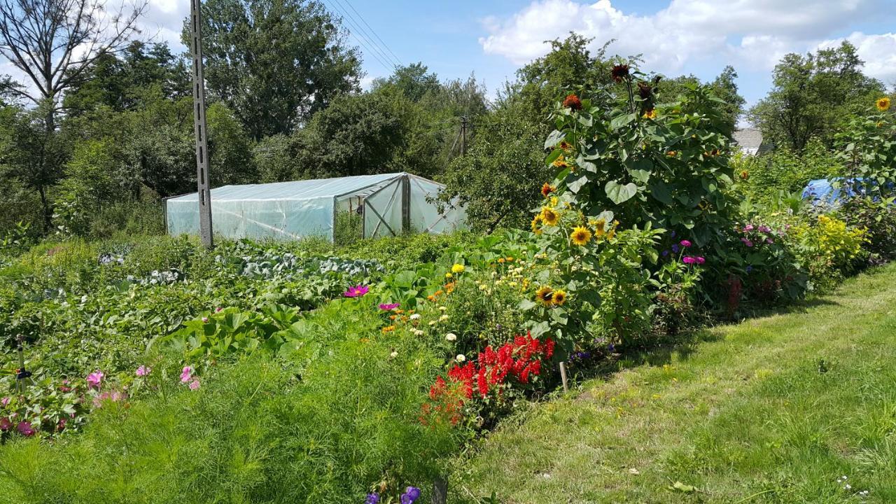 Zielone Zacisze Zwola Ferienhaus