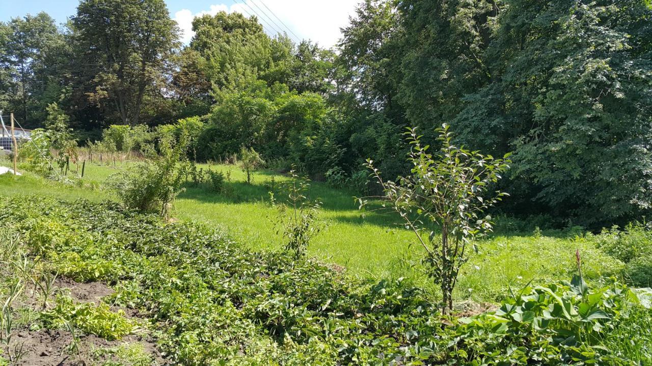 Ferienhaus Zielone Zacisze Zwola *